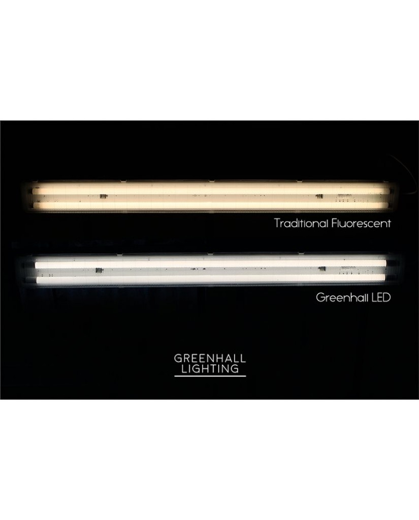 Andromeda Tooless Fluorescent Fitting
